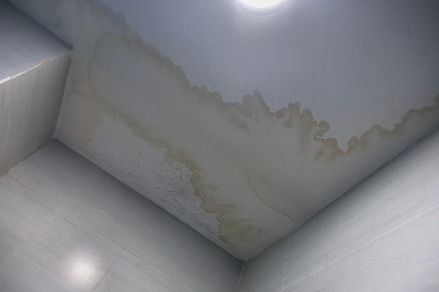 Water stain spreading across an interior ceiling from a roof leak