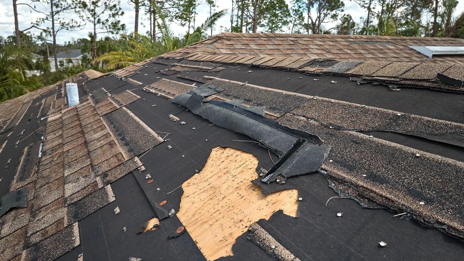 Residential roof with shingles torn away after a high-wind storm